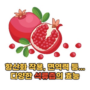 항산화 작용, 면역력 증진...다양한 석류즙의 효능