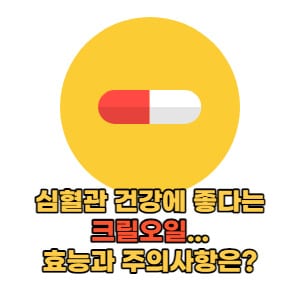 심혈관 건강에 좋은 크릴오일...효능과 주의사항은?