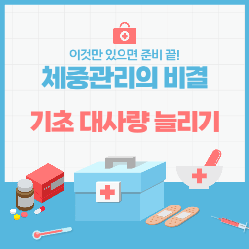 기초 대사량 높이는 방법 쉽게 체중 관리하기